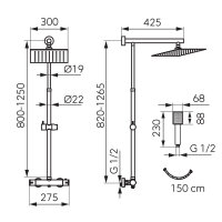 Schwarze Thermostat Regendusche Duschsystem Square